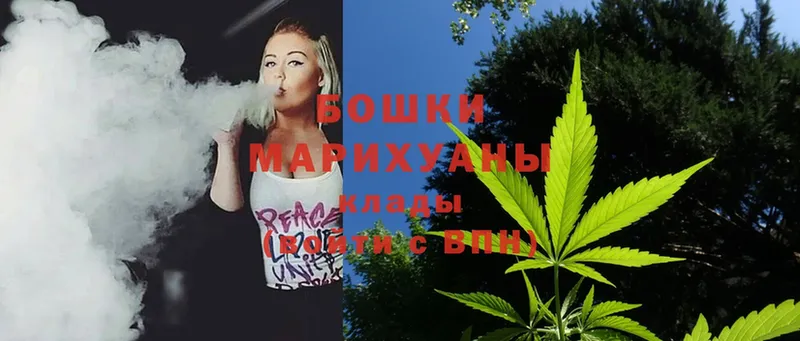 купить наркотик  darknet официальный сайт  Конопля SATIVA & INDICA  Новосибирск 